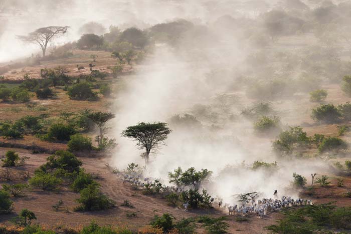 Ganadería nómada en Kenia